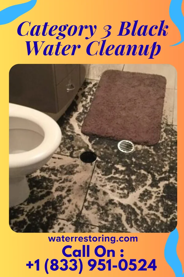 Category 3 Black Water Cleanup in Prentice, WI